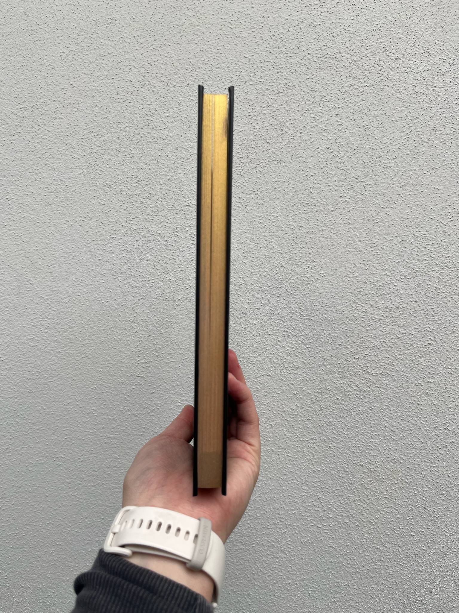 Sara’s Salacious Rules - Hardcover Book (V2)