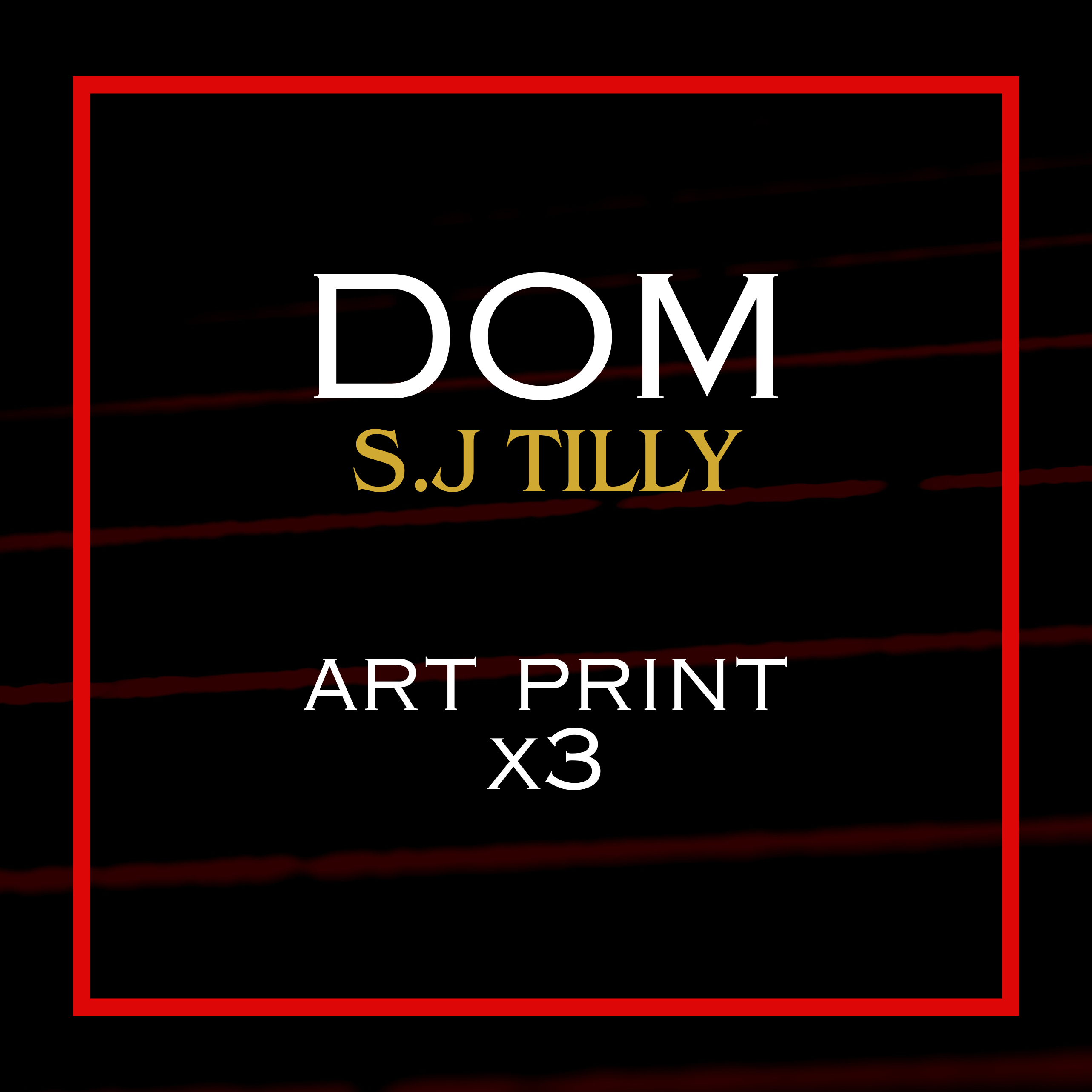 S.J. Tilly - Dom Photo Prints